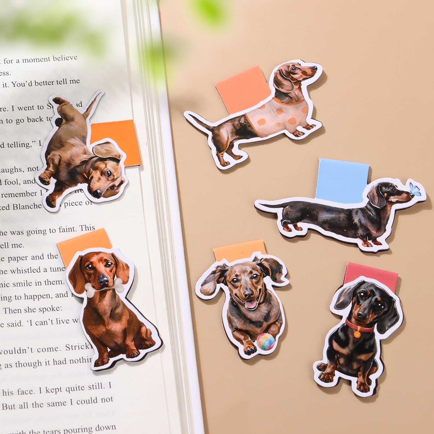 6/12 Wodoodporne magnetyczne z – Bookmark Magnetic Clip recenzja i cena