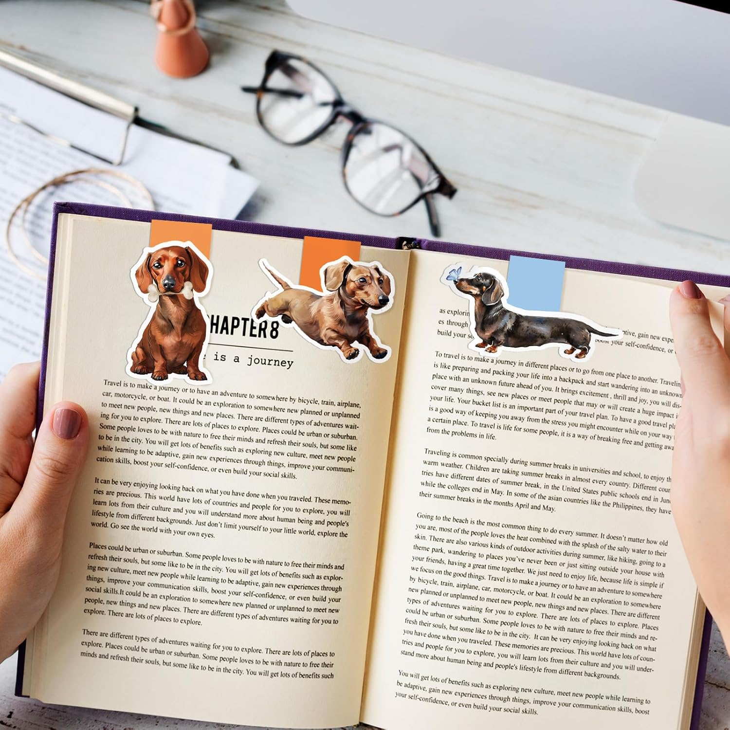6/12 Wodoodporne magnetyczne z – Bookmark Magnetic Clip recenzja i cena